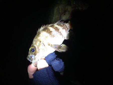 ライトライトライト