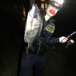 チニングしてたらBORA