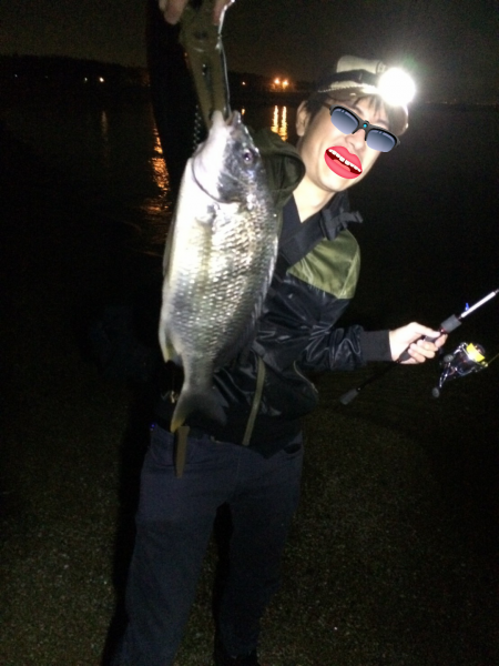 チニングしてたらBORA