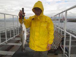尼崎市立魚つり公園 ハネ、チヌ