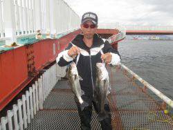 ハネ&ウミタナゴ　尼崎市立魚つり公…