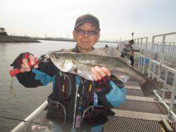尼崎市立魚つり公園　スズキ61cmほか