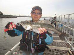 尼崎市立魚つり公園　スズキ61cmほか