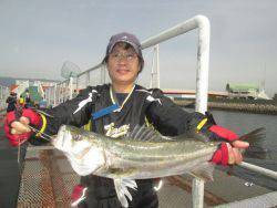 尼崎市立魚つり公園　スズキ61cmほか