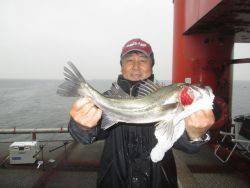 尼崎市立魚つり公園 ズボ釣りでハネ