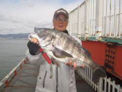 見事公園タイ記録の56.5cmのチヌ！