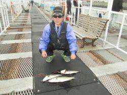 尼崎市立魚つり公園 はっきりしたアタリでハネ♪