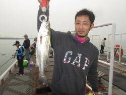 尼崎市立魚つり公園 はっきりしたアタリでハネ♪