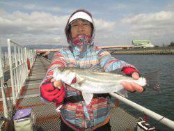 尼崎市立魚つり公園 ハネ、セイゴほか