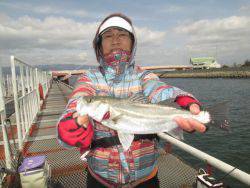 尼崎市立魚つり公園　ハネ、セイゴほか