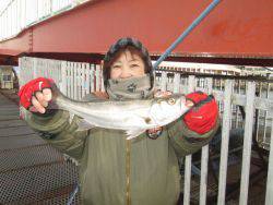 尼崎市立魚つり公園 ハネ、セイゴほか