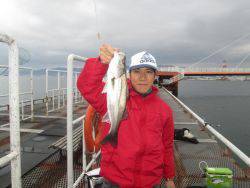 尼崎市立魚つり公園　チヌ、ハネ、ほか