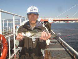 尼崎市立魚つり公園　ハネ、セイゴほか