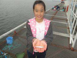 尼崎海釣り公園　イワシやハネ・カレイなどの釣果