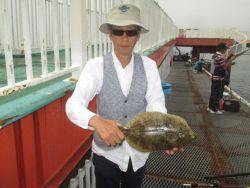 尼崎海釣り公園　イワシやハネ・カレイなどの釣果