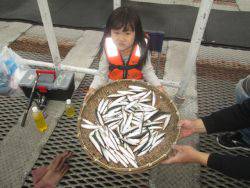 尼崎海釣り公園　イワシの回遊あり