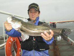 尼崎海釣り公園　イワシの回遊あり