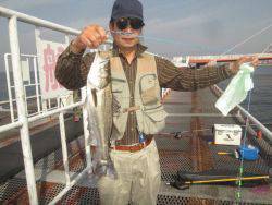 シラサでハネ　尼崎市立魚つり公園