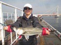 シラサでハネ　尼崎市立魚つり公園