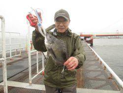 尼崎市立魚つり公園　チヌ、カレイほか