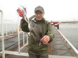 尼崎市立魚つり公園　チヌ、カレイほか