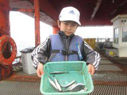 尼崎市立魚つり公園　サビキでイワシ、ほか