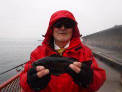 神戸市立平磯海づり公園　ウキ釣りでメバル