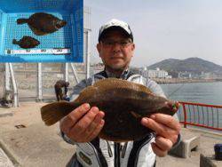 平磯海釣り公園　投げ釣りでカレイの釣果