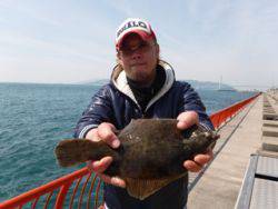 神戸市立平磯海づり公園　投げ釣りでカレイ