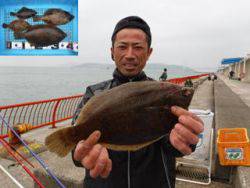 神戸市立平磯海づり公園　カレイ