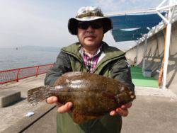 平磯海釣り公園　投げ釣りのカレイは31cm