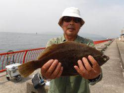 神戸市立平磯海づり公園 、カレイ記録賞★