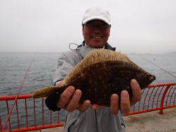 神戸市立平磯海づり公園　投げ釣りでカレイ