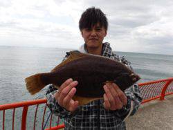 神戸市立平磯海づり公園　投げ釣りでカレイ