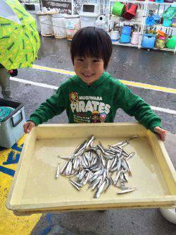 和歌山マリーナシティ海釣り公園　イワシ♪