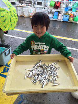 和歌山マリーナシティ海釣り公園　イワシ♪