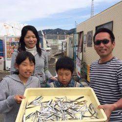 和歌山マリーナシティ海釣り公園　イワシ150匹