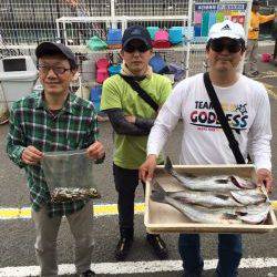 マリーナシティ海釣り公園　エビ撒きでスズキ3尾の釣果