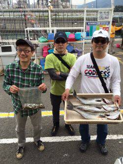 マリーナシティ海釣り公園　エビ撒きでスズキ…