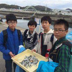 マリーナシティ海釣り公園 サビキで豆イワシの釣果