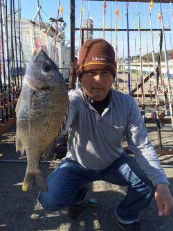 マリーナシティ海釣り公園　ブッコミでキビレ…
