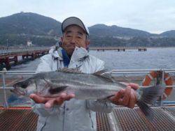 神戸市立須磨海づり公園　ウキ流しでハネ