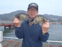 須磨海釣り公園　落とし込みでメバル2尾