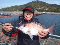 神戸市立須磨海づり公園　マダイ