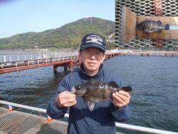 神戸市立須磨海づり公園 落とし込みで良型メ…