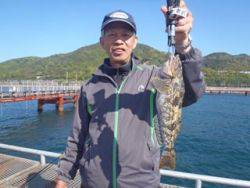 神戸市立須磨海づり公園　アイナメ