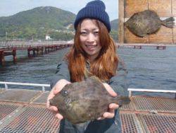 須磨海釣り公園　胴突きでマルハギ21.5c…