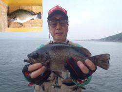 神戸市立須磨海づり公園　メバル　記録賞！