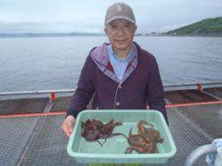 神戸市立須磨海づり公園　マダコ