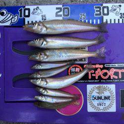 波止からちょい投げ釣り